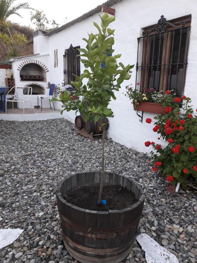Apartamento Peace And Tranquility At Montana Retreat Álora Exterior foto