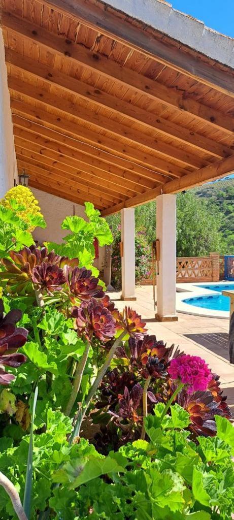 Apartamento Peace And Tranquility At Montana Retreat Álora Habitación foto